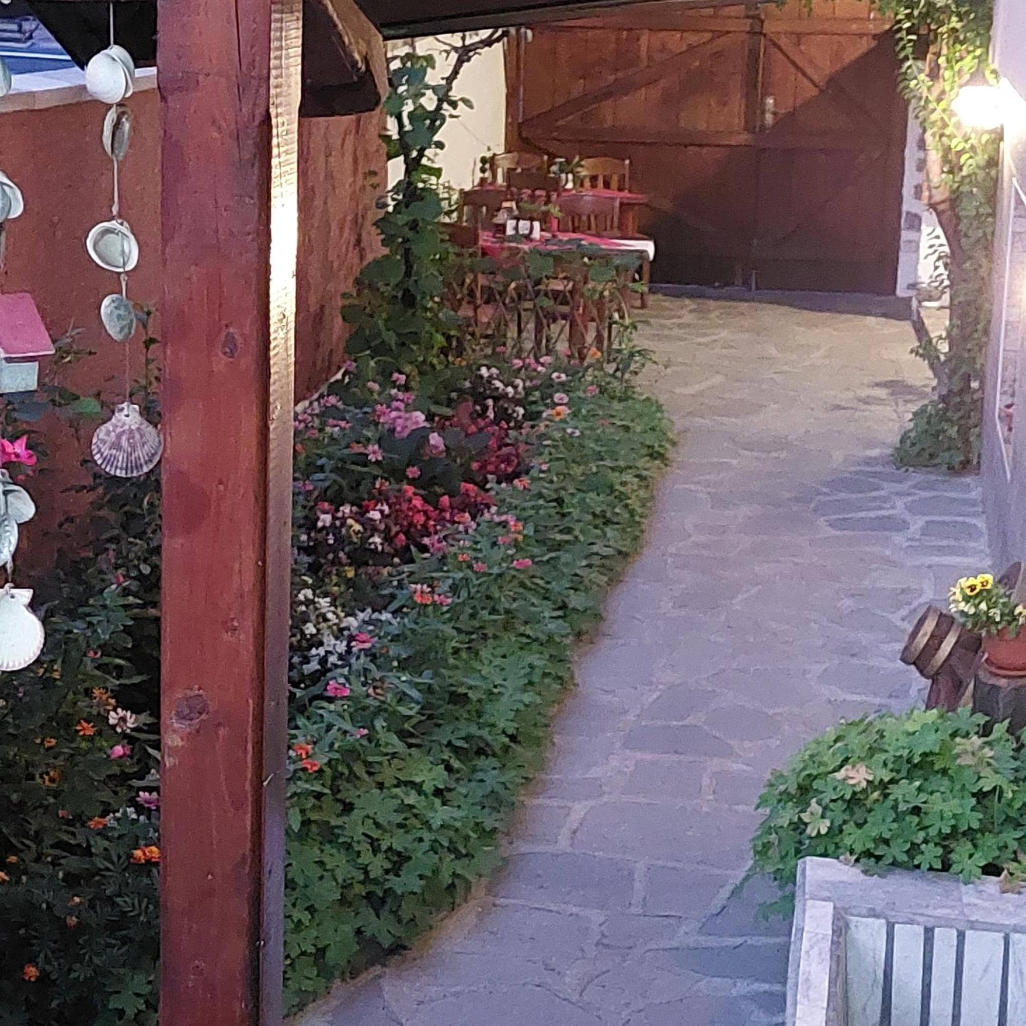 Guest House Planinski Zdravets Bansko Exteriér fotografie