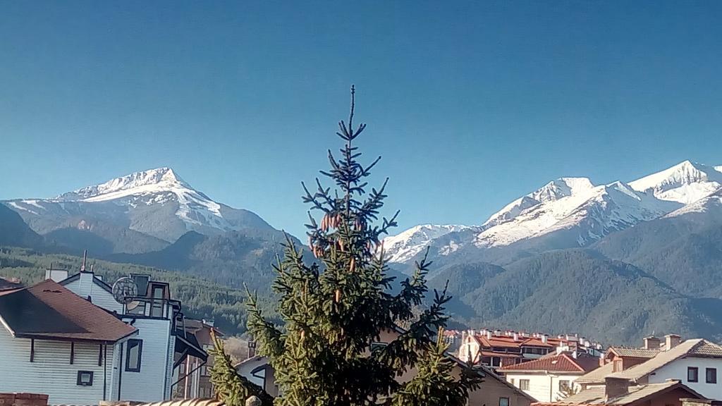 Guest House Planinski Zdravets Bansko Exteriér fotografie